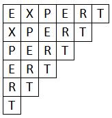 expert.jpg